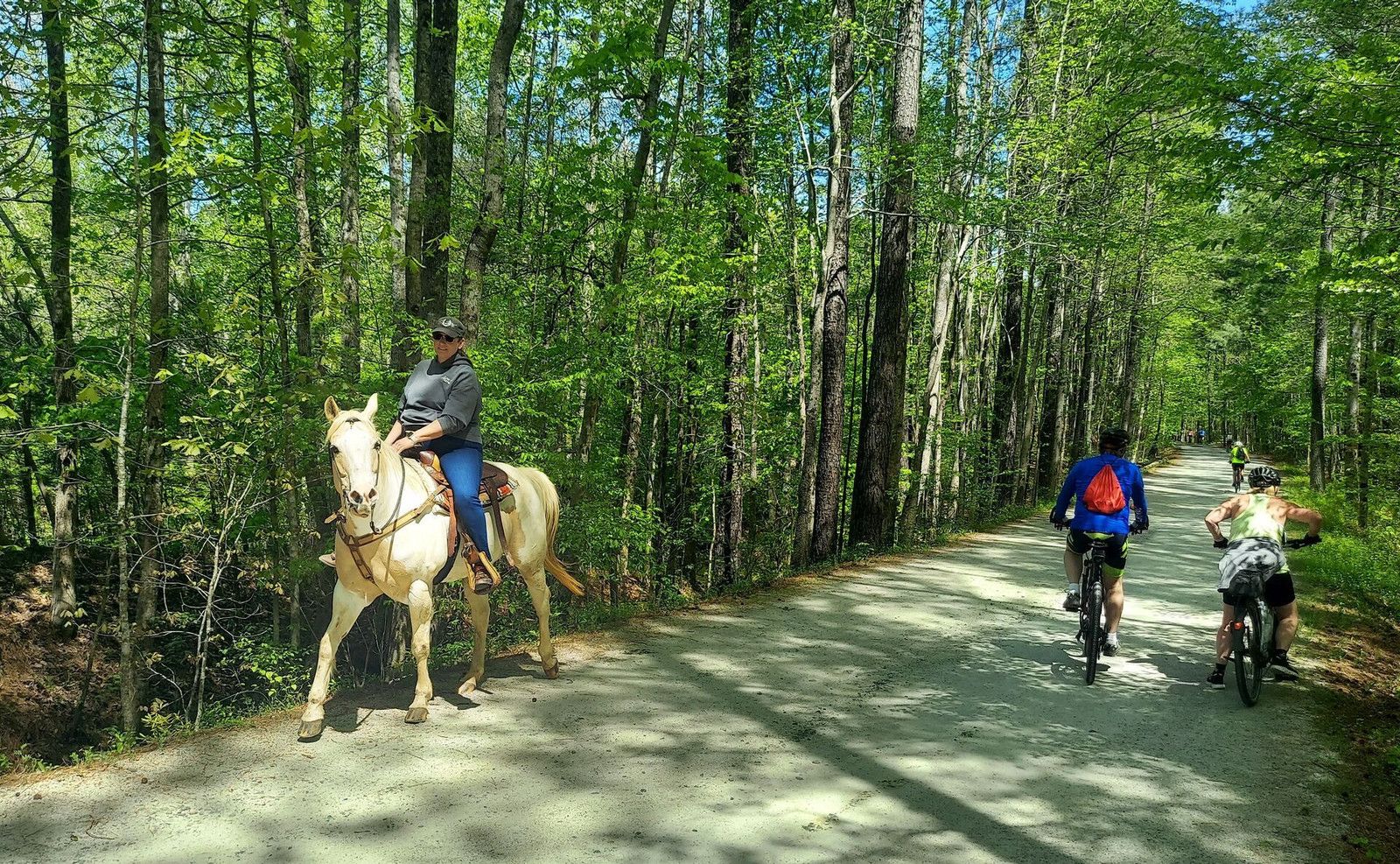 american tobacco trail apex nc Biking the American Tobacco Trail