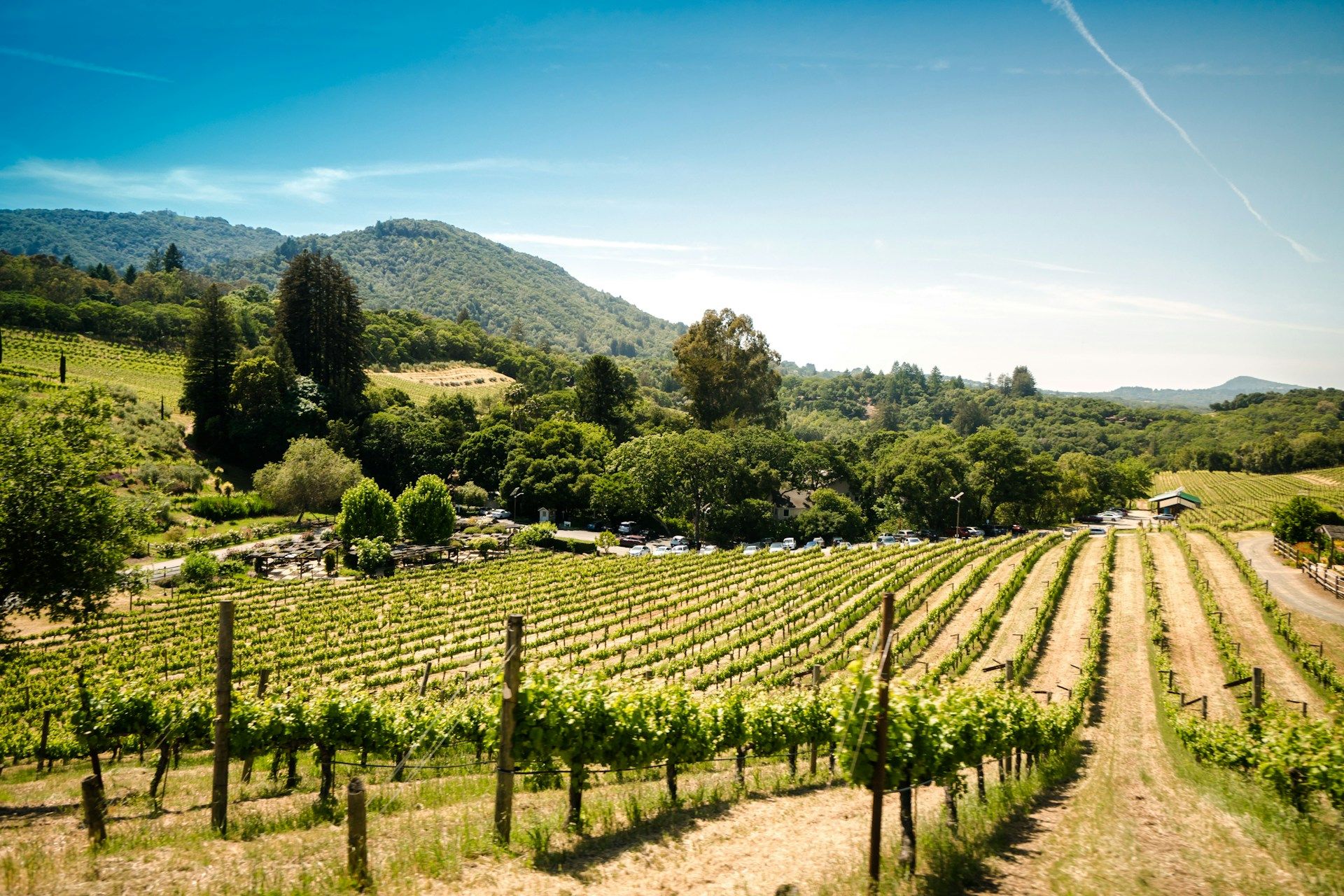 Premium Cycling Routes around California Wine Country