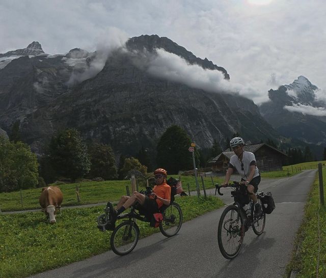 [Afbeelding: medium.jpg]