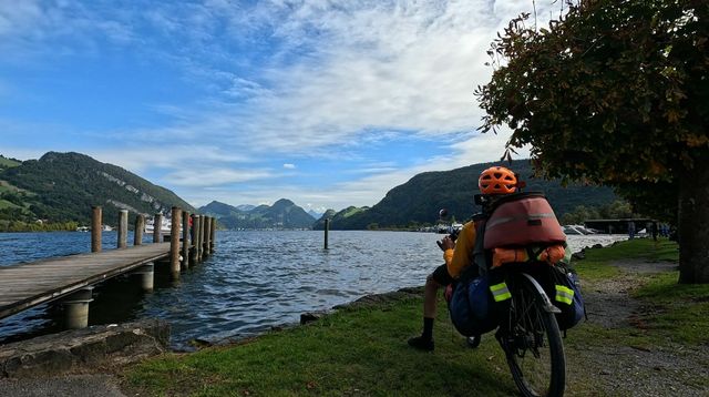 [Afbeelding: medium.jpg]