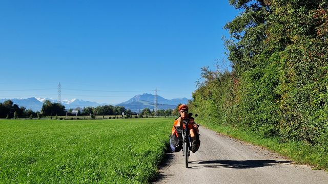 [Afbeelding: medium.jpg]