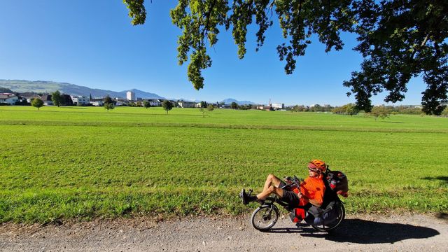 [Afbeelding: medium.jpg]