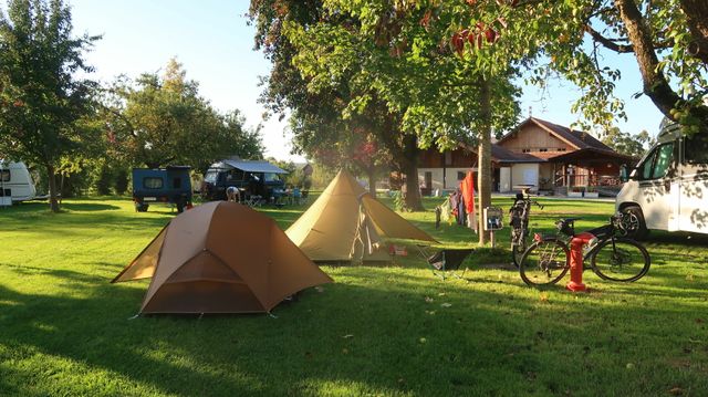 [Afbeelding: medium.jpg]