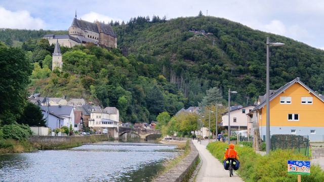 [Afbeelding: medium.jpg]