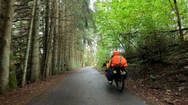 [Afbeelding: medium.jpg]