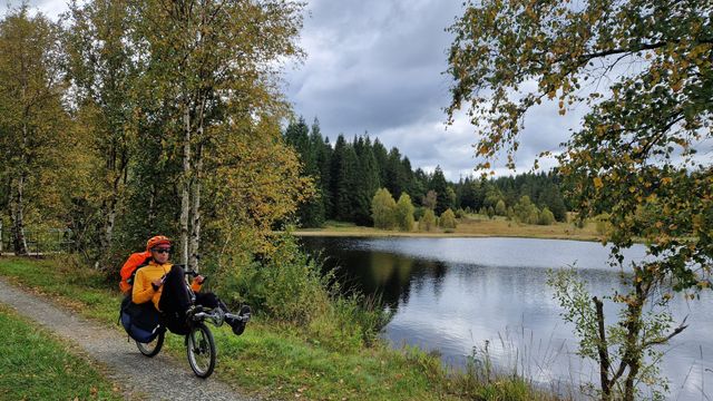 [Afbeelding: medium.jpg]