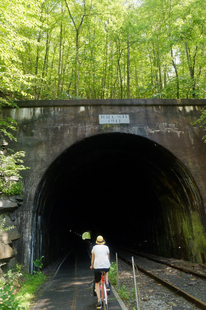 Brush Tunnel