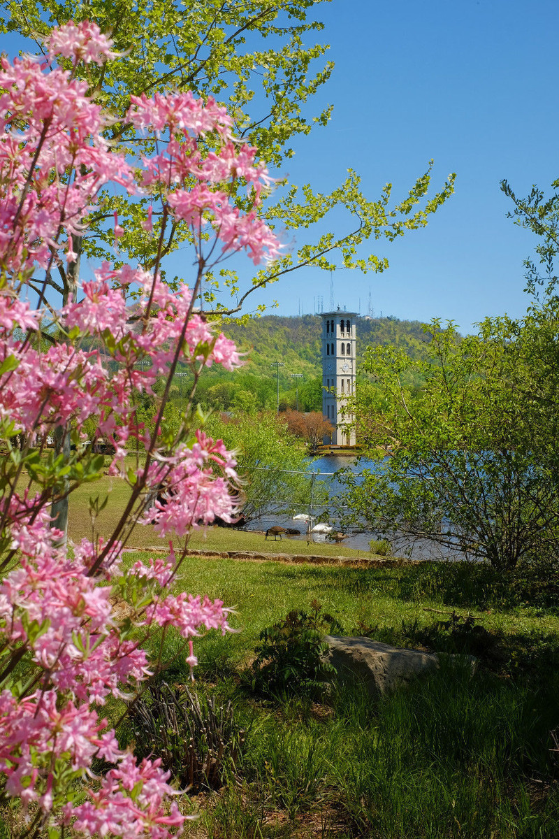 Furman University