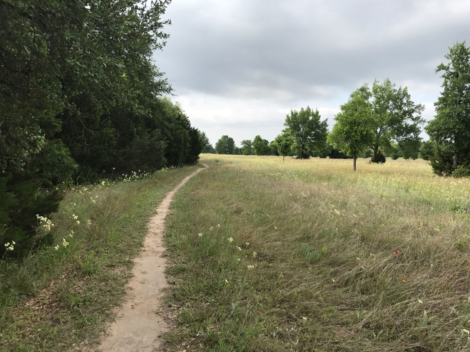 exploring-dinosaur-valley-state-park-glen-rose-texas