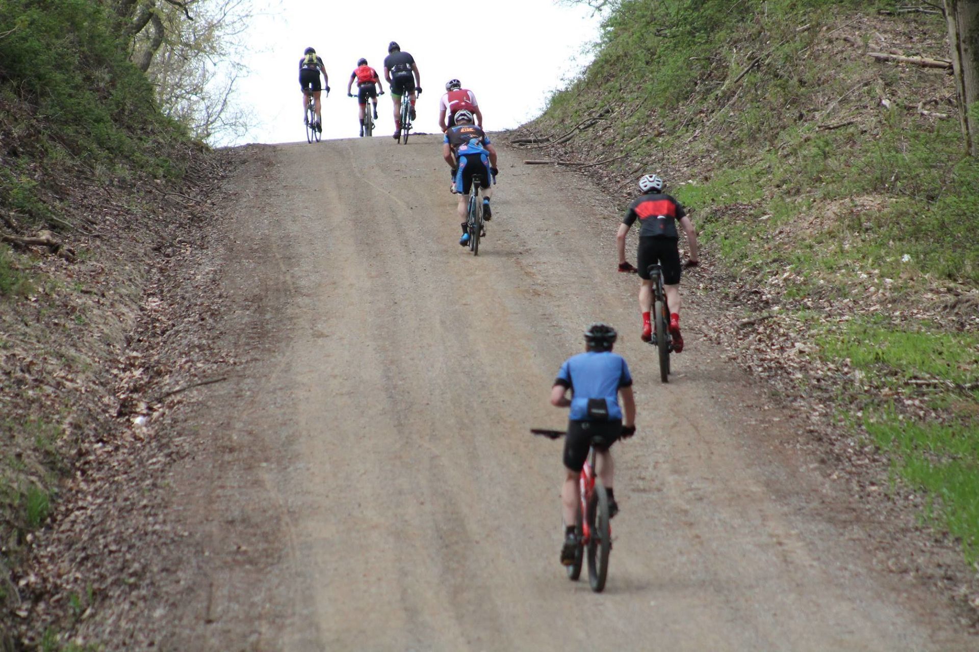 black fork gravel grinder