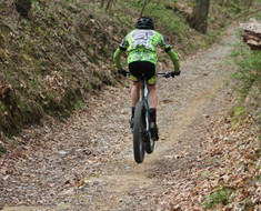 black fork gravel grinder