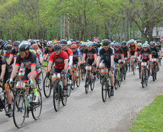 black fork gravel grinder