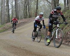 black fork gravel grinder