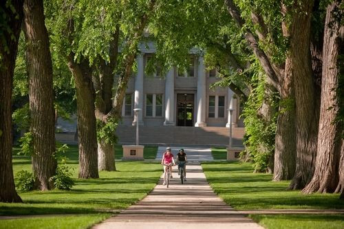 Colorado State