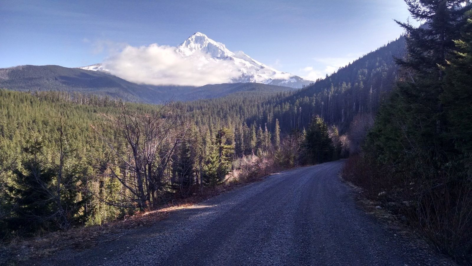 mt hood bicycle