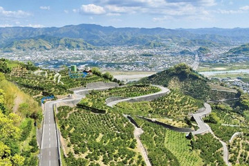 千葉山 せんばやま A Bike Ride In 有田川町 和歌山県