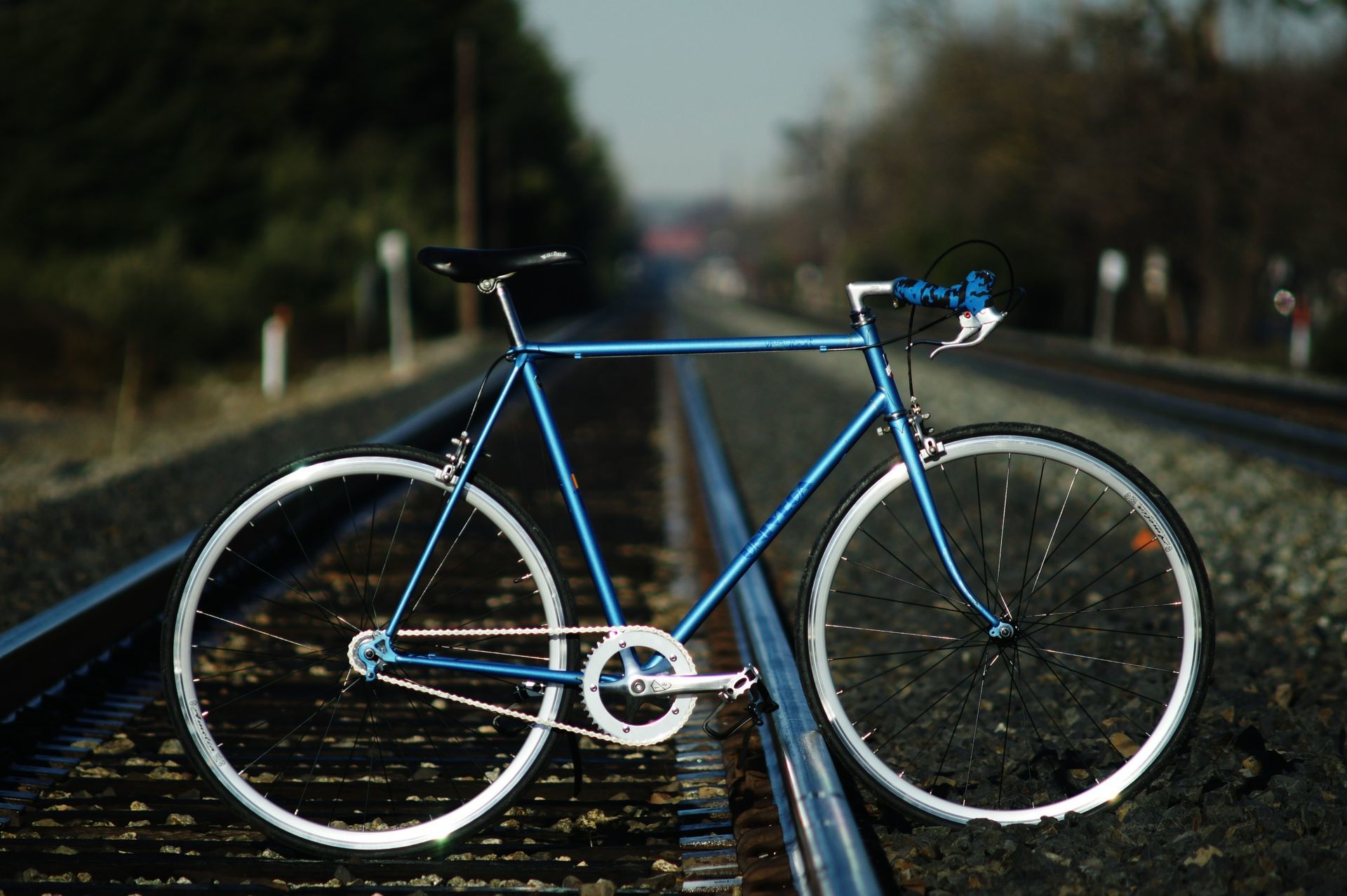 viva fixie