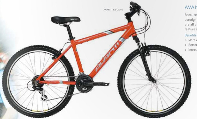 avanti escape mountain bike