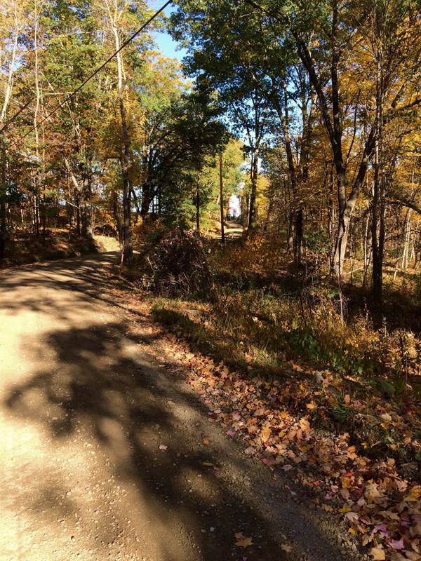 Hard Packed Dirt Gravel