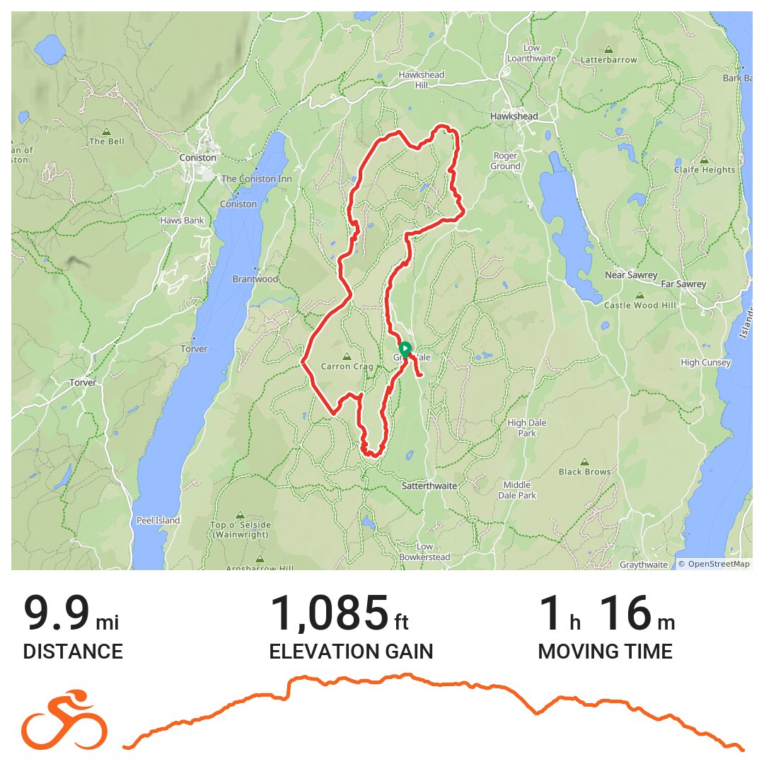 grizedale mtb trails