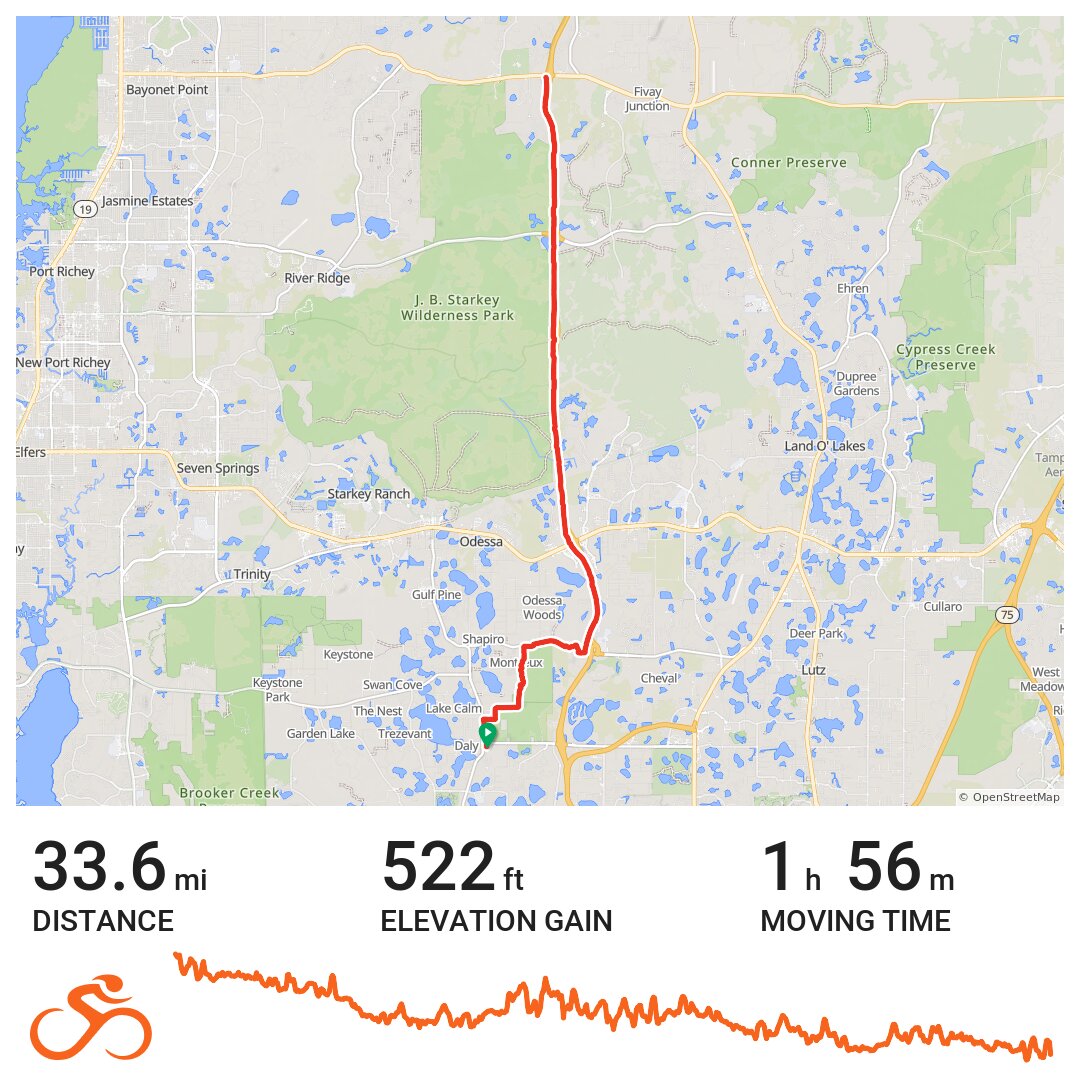 Truffle - A bike ride in Hillsborough County, FL